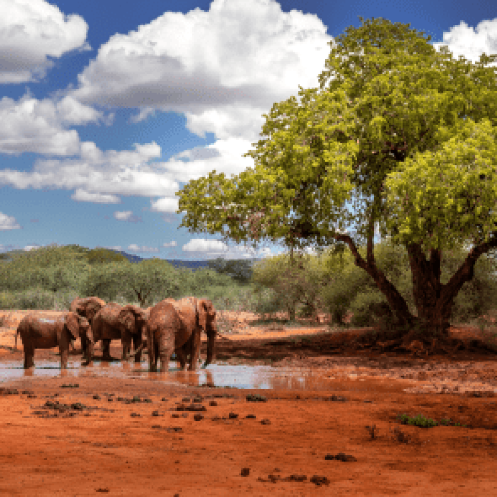 Amboseli Sopa Lodge