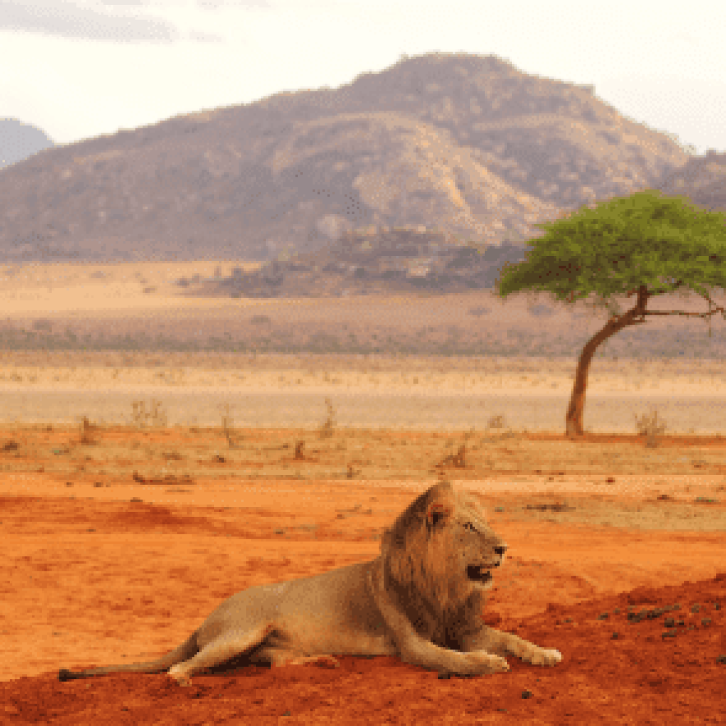 Lion’s Bluff Lodge