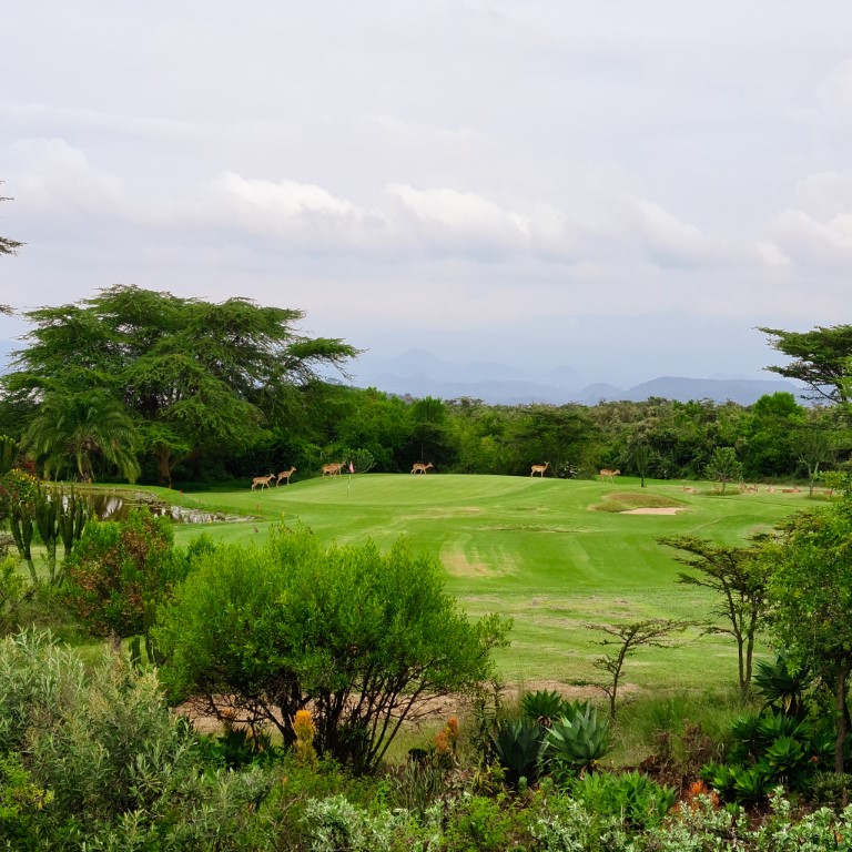 Golfing in the Wild