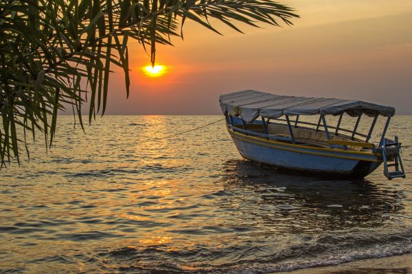 Lake Victoria Boat Safari