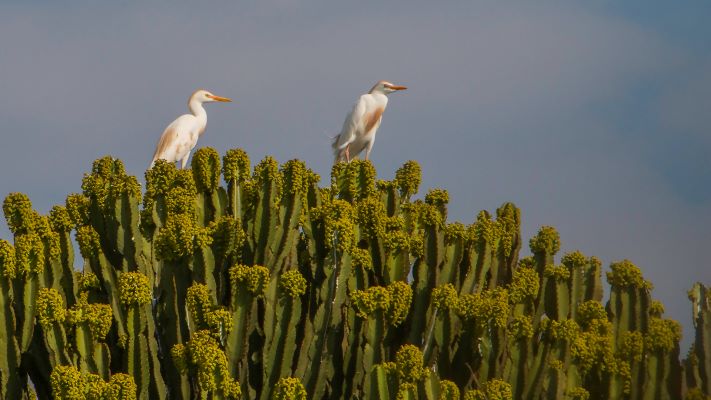 Ndere Island National Park