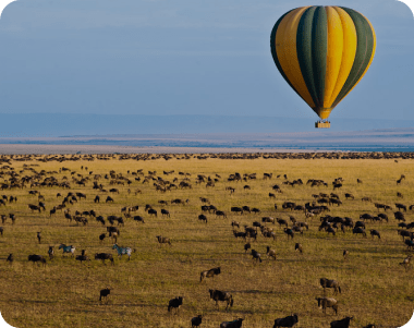 Kilimanjaro Balloon Safaris