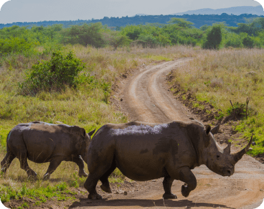 Nairobi National Park