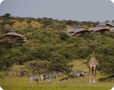 Mahali Mzuri